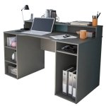 Secretária Ozone